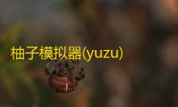 柚子模拟器(yuzu)手机端apk下载